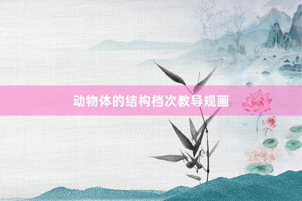 动物体的结构档次教导规画