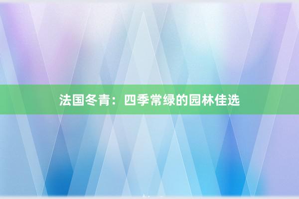 法国冬青：四季常绿的园林佳选