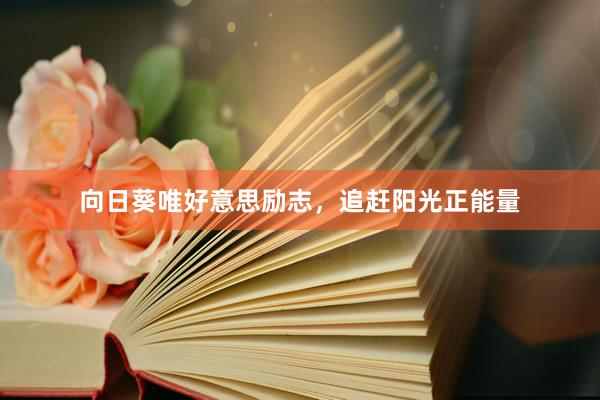 向日葵唯好意思励志，追赶阳光正能量