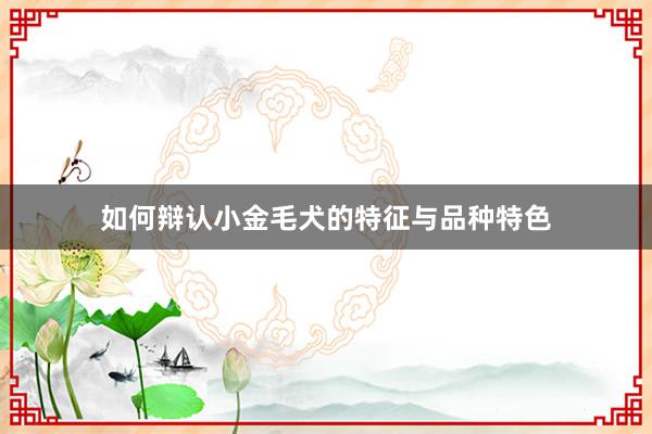 如何辩认小金毛犬的特征与品种特色