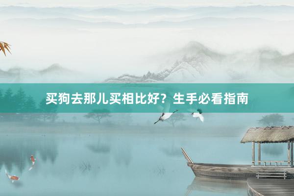 买狗去那儿买相比好？生手必看指南