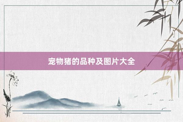 宠物猪的品种及图片大全